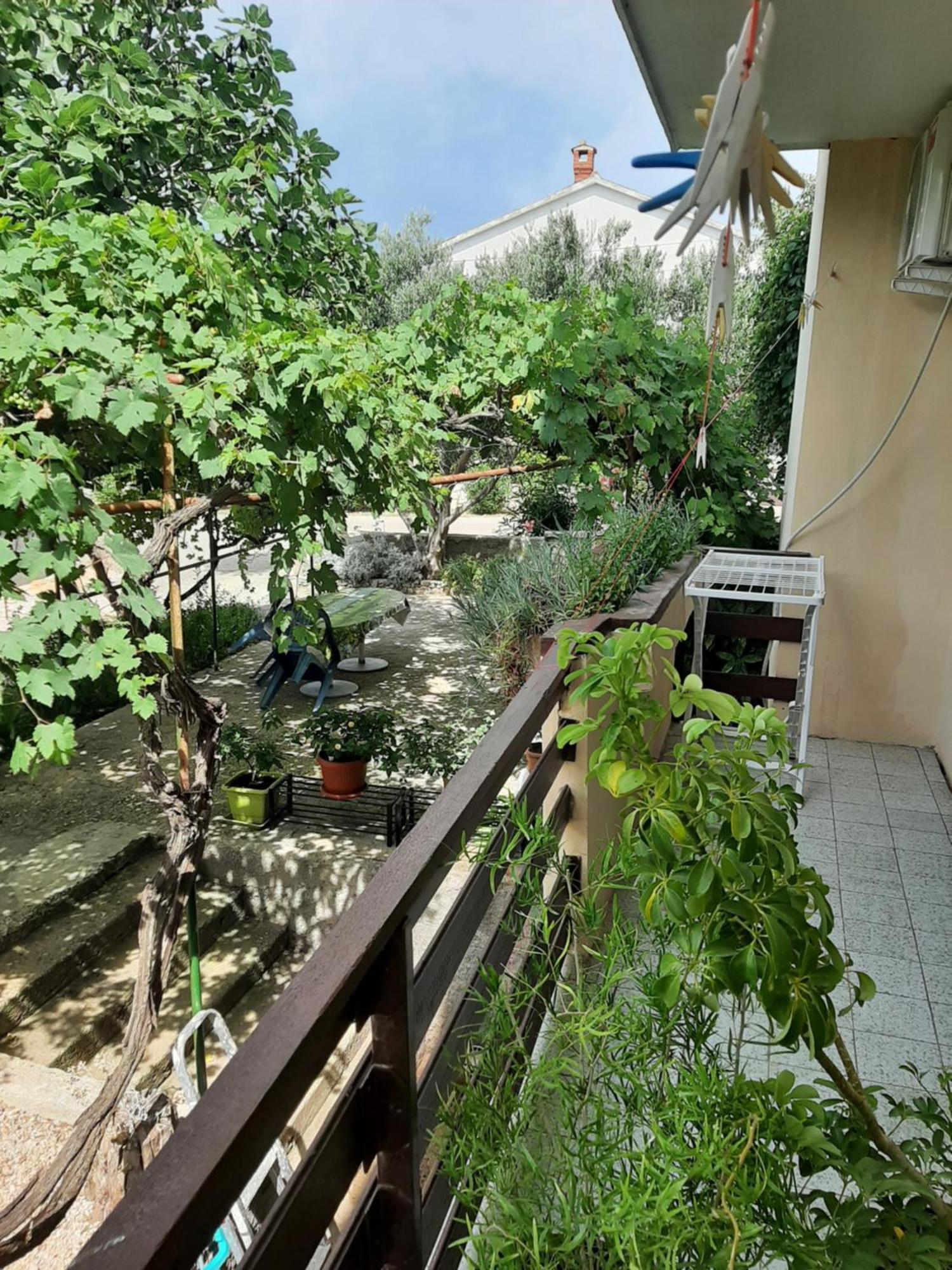 Apartmani Marija Повляна Номер фото