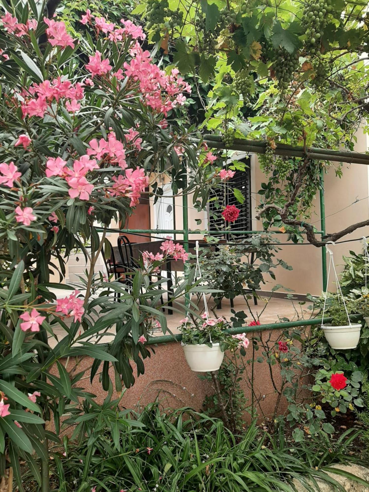 Apartmani Marija Повляна Номер фото
