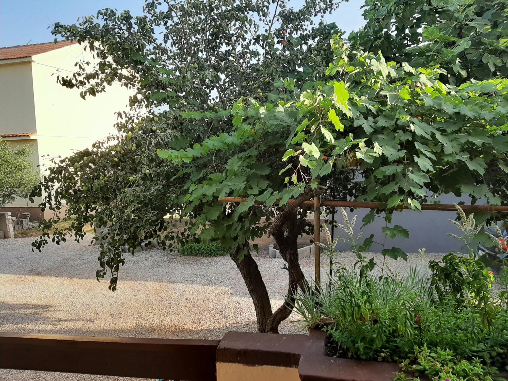 Apartmani Marija Повляна Номер фото