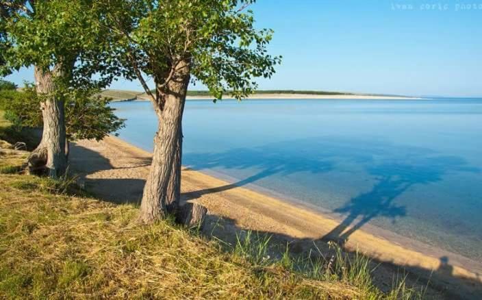 Apartmani Marija Повляна Екстер'єр фото