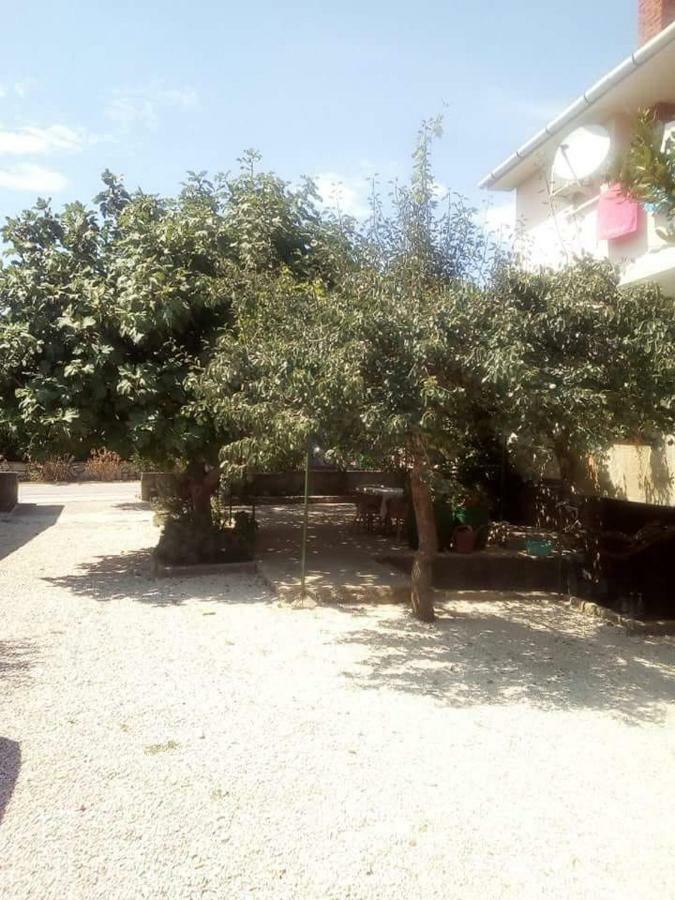 Apartmani Marija Повляна Екстер'єр фото