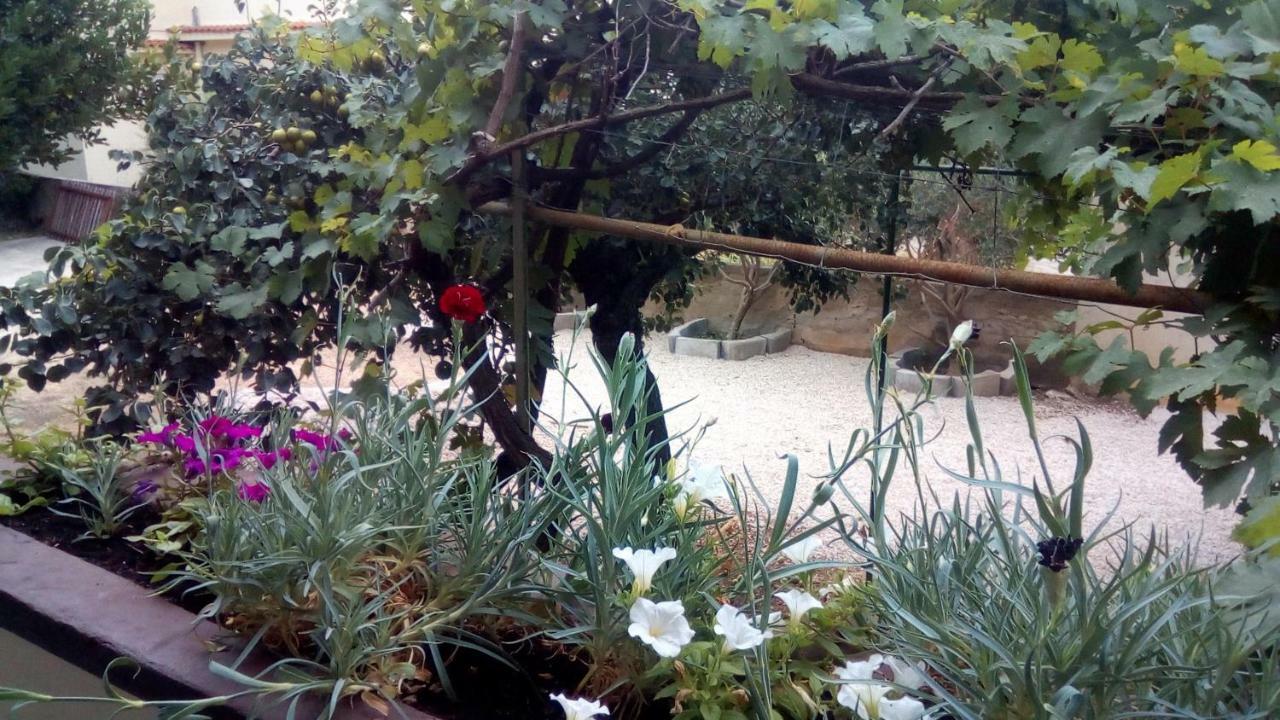 Apartmani Marija Повляна Екстер'єр фото